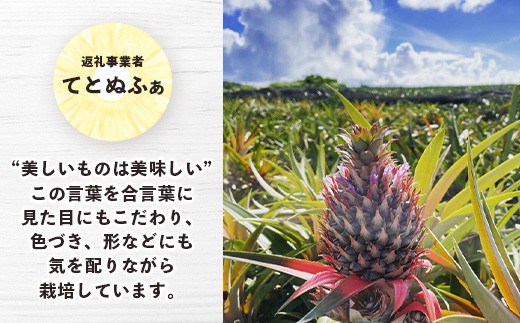 《2024年7月下旬～8月下旬発送》最高糖度23度！？ 完熟！7Lサイズ お得な幻のキーツマンゴー【家庭用】【 沖縄 石垣島 石垣 八重山  マンゴーキーツマンゴー 期間限定 沖縄県 石垣島産 完熟 】TF-3