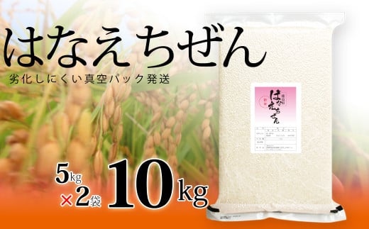 はなえちぜん 白米 5kg×2袋 真空パック ハナエチゼン 米 簡易梱包 エコ梱包 1091061 - 徳島県海陽町