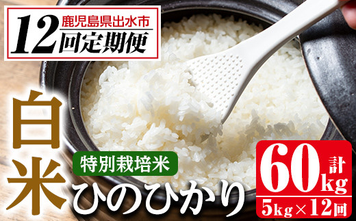 i869-A ＜定期便・計12回(連続)＞ひのひかり 特別栽培米 白米＜5kg×全