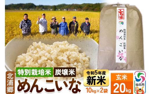 秋田県仙北産 米 あきたこまち 令和5年産 予約開始 仙北市産 パック