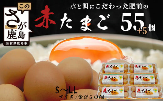 【鹿島市産のたまご】肥前のおいしい赤たまご　６０個（５５個＋破損補償５個入り）　B-711