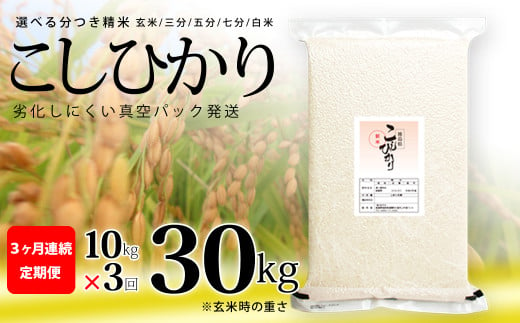 こしひかり 玄米時重量 5kg×2袋×3回 3ヶ月連続 定期便 玄米時重量30kg