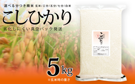 [先行予約]こしひかり 玄米時重量 5kg 分づき米 対応可 真空パック コシヒカリ 米 簡易梱包 エコ梱包[8月下旬以降順次お届け]