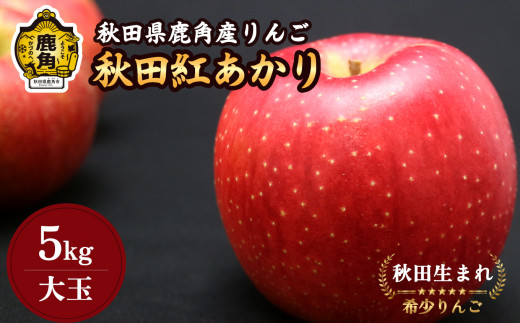 先行予約》秋田県鹿角産りんご「秋田紅あかり」贈答用 約5kg（14～16玉