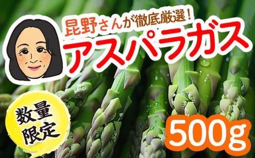 [数量限定]金ケ崎町の名産アスパラガス 500g 野菜 春野菜 新鮮 名産 名品 冷蔵 ギフト 2024