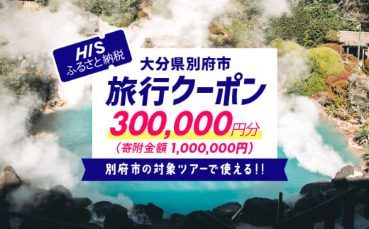 【300,000円分】大分県別府市の対象ツアーに使えるHISふるさと納税クーポン 寄附額1,000,000円 1086857 - 大分県別府市