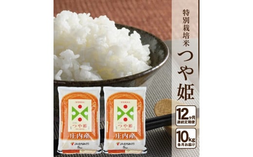 SY0017　【12回定期便】特別栽培米 つや姫　10kg×12回(計120kg) JM