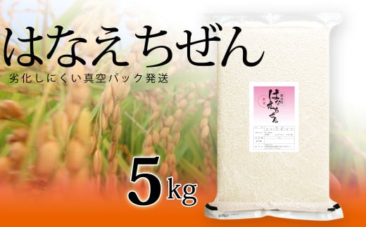 はなえちぜん 白米 5kg 真空パック ハナエチゼン 米 簡易梱包 エコ梱包 1091060 - 徳島県海陽町