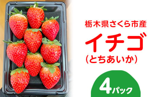 〈数量限定〉【先行予約】さくら市産イチゴ（とちあいか）290g×4パック【先行予約 栃木県 果物 くだもの フルーツ 苺 いちご】 ※2024年12月下旬～2025年3月下旬頃に順次発送予定 1085446 - 栃木県さくら市