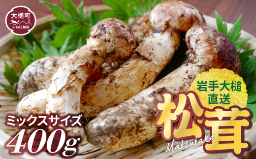 アウトレット価格 10/9 国産岩手県沿岸松茸 1009g | lbsenergiasolar