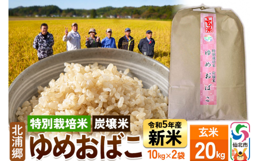 新米【特別栽培米 炭壌米 ゆめおばこ】令和5年産 玄米 10kg2袋