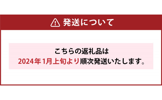 ラナンキュラス贈答用30本 【2024年1月上旬～2024年3月下旬発送