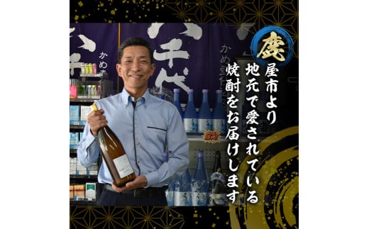 1795 海の蔵「大海酒造」の飲み比べセット！B-1（合計４本） - 鹿児島県鹿屋市｜ふるさとチョイス - ふるさと納税サイト