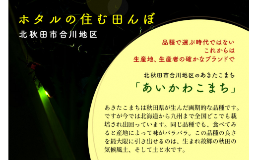 定期便8ヶ月》＜新米＞秋田県産 あきたこまち 60kg【玄米】(5kg小分け