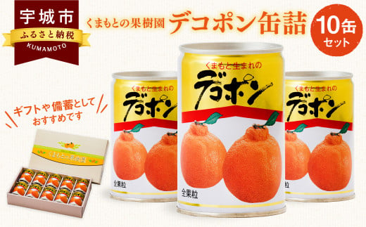 【2024年5月発送】くまもとの果樹園 デコポン 缶詰 10缶 セット  1220118 - 熊本県宇城市