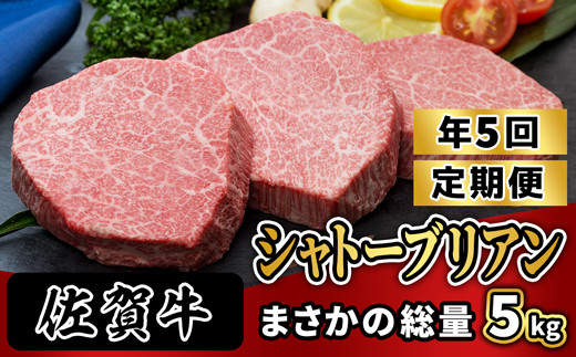 ［定期便全5回］ヒレの女王【シャトーブリアン】が、まさかの総量5kg NK1015