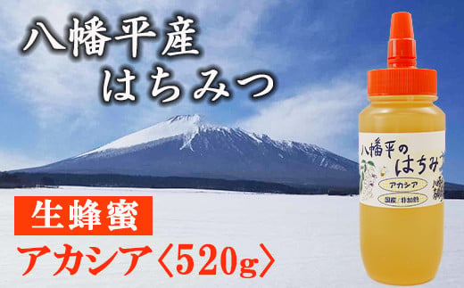 蜂蜜 600g 2本セット 国産 岩手県 遠野産 非加熱 純粋 はちみつ