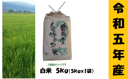 【令和5年産】奥信濃飯山～木内ファームのお米～ 5kg (5-39A)