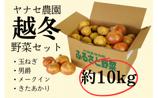 越冬野菜セット　約10kg　ヤナセ農園/013-27087-b01A 1087148 - 北海道津別町