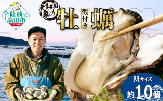 【期日指定可】大和田家の殻付き牡蠣［Mサイズ／10個］（生食用）【2023年11月から順次発送】