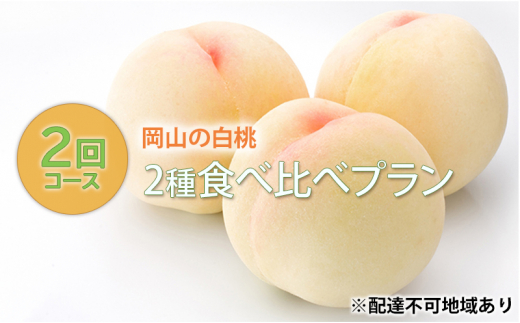 桃 2024年 先行予約 岡山の 白桃 2種 食べ比べ プラン 2回 コース もも モモ 岡山県産 国産 フルーツ 果物 ギフト