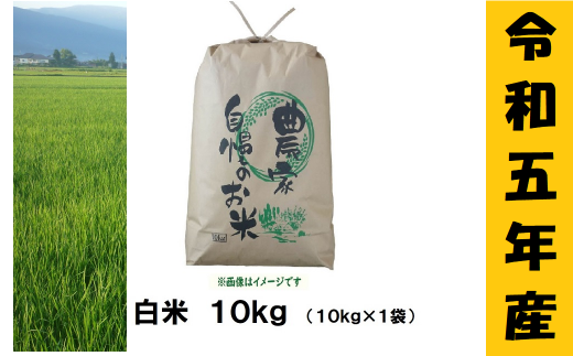 【令和5年産】奥信濃飯山～木内ファームのお米～ 10kg (5-40A)
