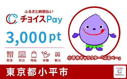 小平市チョイスPay 3,000pt（1pt＝1円）