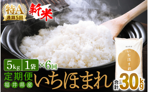 【新米】定期便 ≪6ヶ月連続お届け≫ いちほまれ 5kg × 6回（計30kg）特A通算5回！令和5年 福井県産【お米 計30キロ 精米】  [e27-d001]|株式会社 さちふる