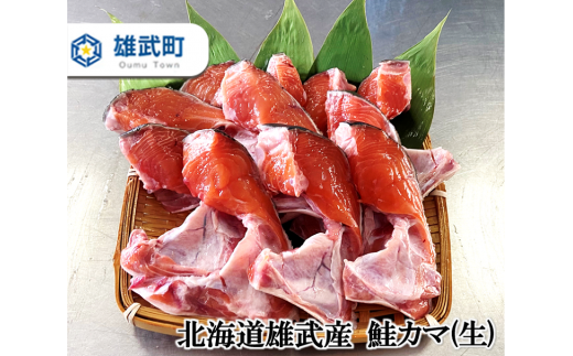 【北海道雄武産】鮭カマ（生）2.5kg 冷凍