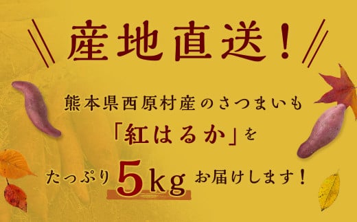 2023年11月発送開始】【訳あり】熊本県西原村産 熟成蔵出しさつまいも