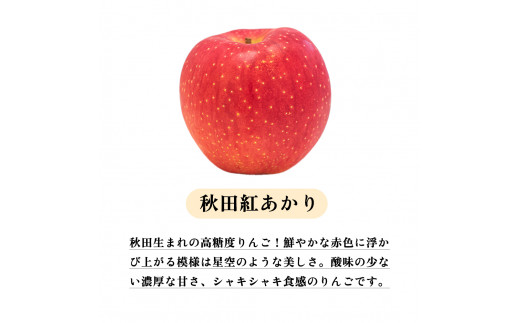 秋田県鹿角産りんご「秋田紅あかり」贈答用 約5kg（14～16玉前後）【アグリTakko】●2023年11月中旬発送開始　りんご リンゴ 林檎  秋田県産 鹿角りんご 贈答 良品 品質 こだわり 糖度 旬 農家直送 産地直送 5kg|アグリTakko