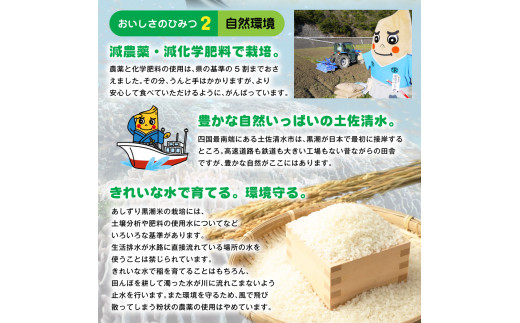 令和5年産 あしずり黒潮米5kg（コシヒカリ）精米 白米 ブランド米 ご飯