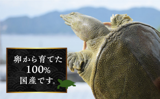 【全6回定期便】おうちですっぽん鍋 1人前　鍋 美容 スタミナ 健康 唐揚げ＜平井興産株式会社＞江田島市 [XAC012]|平井興産 株式会社