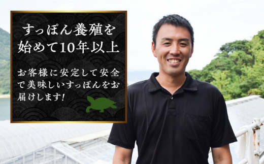 【全6回定期便】おうちですっぽん鍋 1人前　鍋 美容 スタミナ 健康 唐揚げ＜平井興産株式会社＞江田島市 [XAC012]|平井興産 株式会社