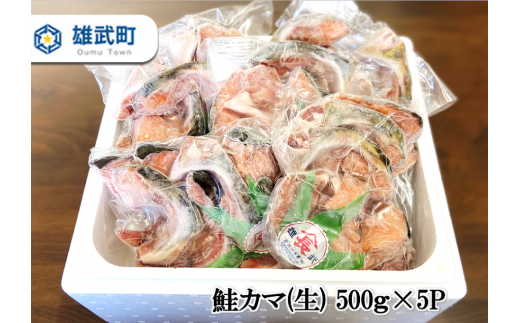 【北海道雄武産】鮭カマ（生）2.5kg 冷凍