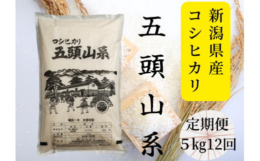 【新米】【12回定期便】「米屋のこだわり阿賀野市産」コシヒカリ５kg×12回 1E24117 1090139 - 新潟県阿賀野市