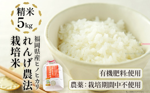 令和5年産 予約 合鴨米「ヒノヒカリ」（玄米・5kg） 栽培期間期間中