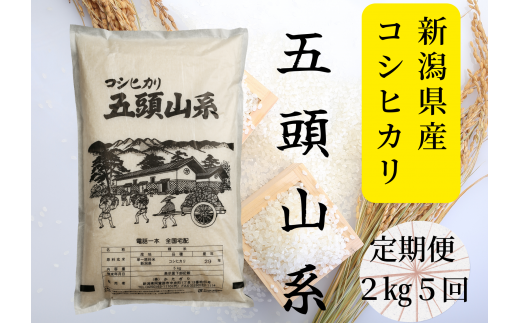 【新米】【5回定期便】「米屋のこだわり阿賀野市産」コシヒカリ2kg×5回 1E19024 1090130 - 新潟県阿賀野市