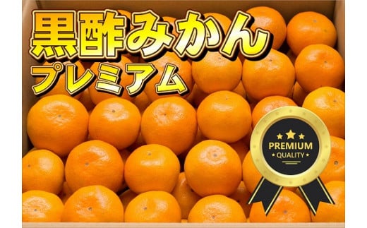 O-164 かねひろの黒酢みかん【プレミアム】10㎏ 1051183 - 佐賀県太良町