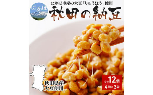 12個(4P×3袋) 国産大豆100% 大粒で濃いめの手作り納豆