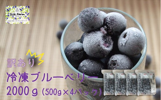 【訳あり】シルクファーム産　冷凍ブルーベリー2000g（500g×4パック） 1085380 - 埼玉県加須市