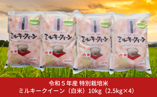 最安価格 令和5年ミルキークィーン玄米25キロ - 食品