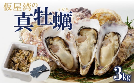 【1月配送】仮屋湾の真牡蠣（3kg）【殻付き】