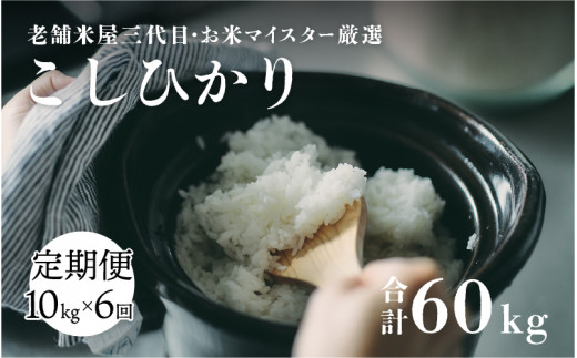 6ヶ月連続お届け】令和5年産 コシヒカリ 10kg (5kg×2袋）× 6回 計60kg