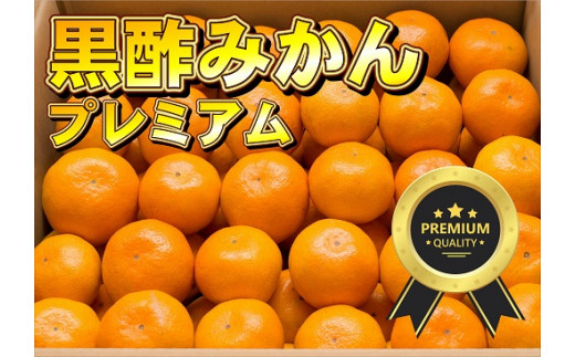 O-164 かねひろの黒酢みかん【プレミアム】10㎏