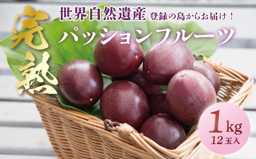アーダン シルクフィブロ三点セット - 奄美大島 鹿児島 基礎化粧品 