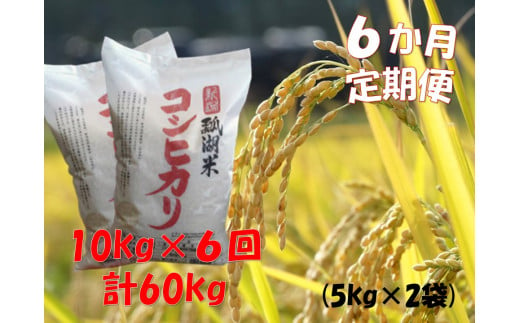 【6ヶ月定期便】新潟産 コシヒカリ「瓢湖米」 10kg×6回 1N12084