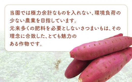 さつまいも 無農薬 紅はるか 3kg 福島県 大玉村産 2S～Sサイズ混合