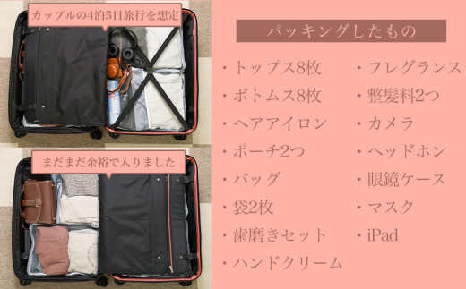 [PROEVO] ファスナーキャリー スーツケース 受託手荷物対応 Lサイズ(エンボス/ウォームグレー) [10004]　AY264