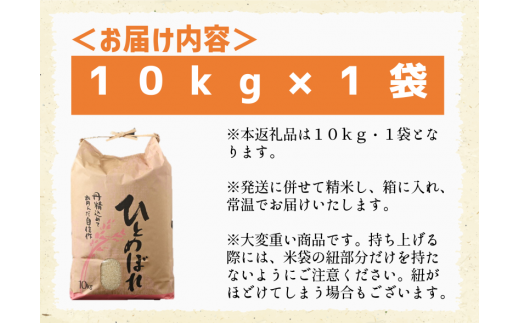 ひとめぼれ10kg【磐梯産名水米ひとめぼれ】-